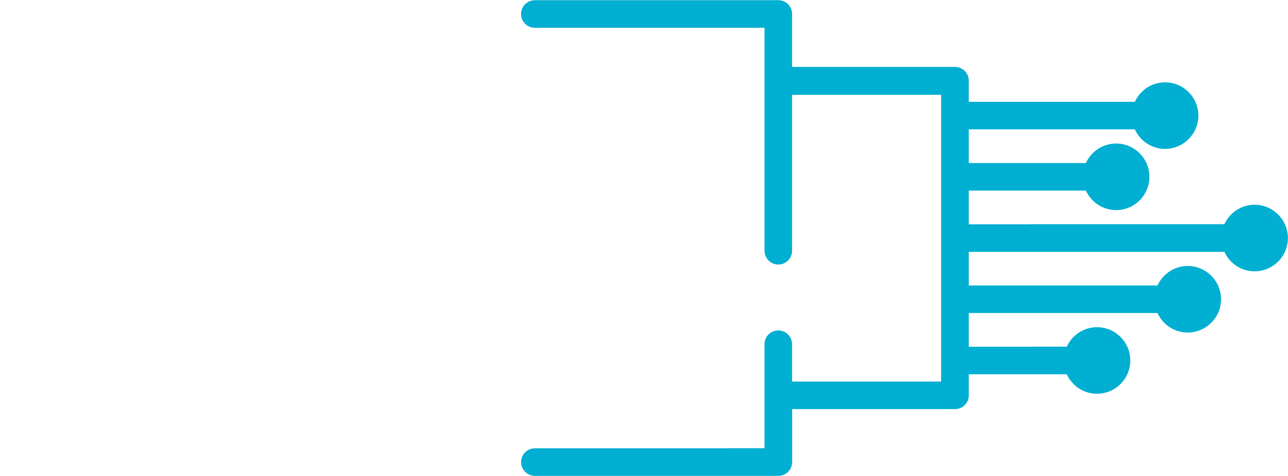 Reach Fiber Network